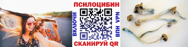 МЕГА ссылка  Амурск  Псилоцибиновые грибы Magic Shrooms 