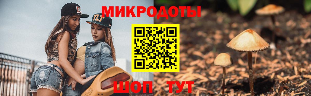 Псилоцибиновые грибы Psilocybine cubensis  Галлюциногенные грибы мицелий  Вход с VPN  Амурск 